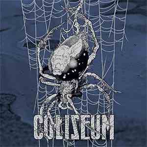 Coliseum  - True Quiet / Last Wave download free