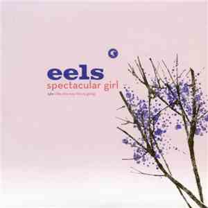 Eels - Spectacular Girl download free