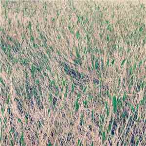 Gallery Six / Stabilo - Meandering Flow download free