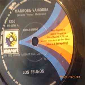 Los Felinos - Morena De 15 Años download free