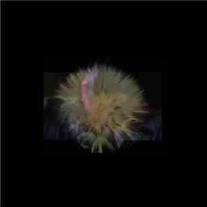 Nahja Mora - Actualiser download free