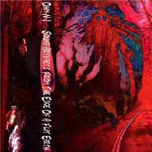 Ohm-N-I - Sound Artifacts From The Edge Of A Flat Earth download free