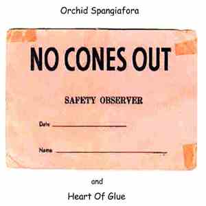 Orchid Spangiafora and Heart Of Glue - No Cones Out download free