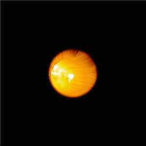 Particle Image Velocimetry - Circle Flow download free