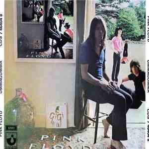 Pink Floyd - Ummagumma download free