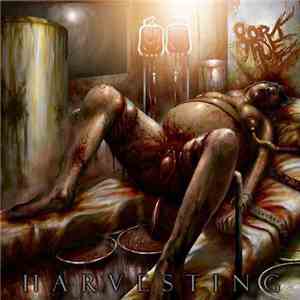 Pork True - Harvesting download free