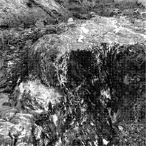 Syndrome  - Floating Veins download free