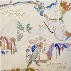 The Chris Robinson Brotherhood - Barefoot In The Head download free