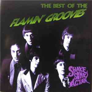 The Flamin' Groovies - Shake Some Action The Best Of The Flamin' Groovies download free