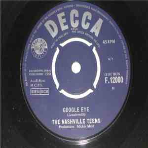 The Nashville Teens - Google Eye download free