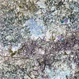 Tundra  - `'​`​'​`​'​`​'​`​'​`​'​`​'` download free