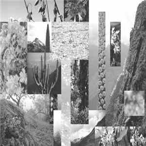 Venn Rain - Rhizome Riverbed download mp3 flac