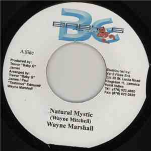 Wayne Marshall - Natural Mystic download free