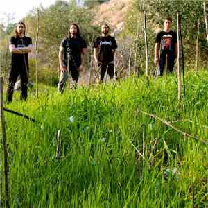 Xenolith - Sheer Neglect download free